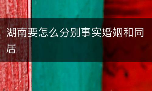 湖南要怎么分别事实婚姻和同居