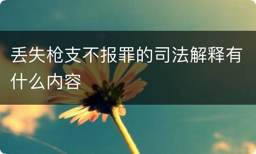 丢失枪支不报罪的司法解释有什么内容