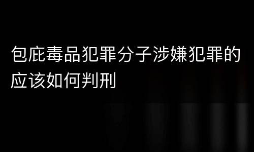 包庇毒品犯罪分子涉嫌犯罪的应该如何判刑
