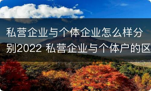 私营企业与个体企业怎么样分别2022 私营企业与个体户的区别