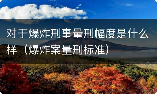 对于爆炸刑事量刑幅度是什么样（爆炸案量刑标准）