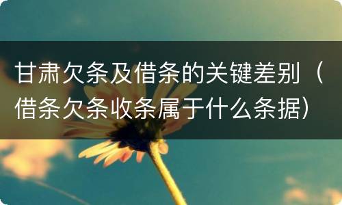 甘肃欠条及借条的关键差别（借条欠条收条属于什么条据）