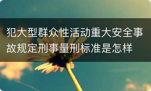 犯大型群众性活动重大安全事故规定刑事量刑标准是怎样