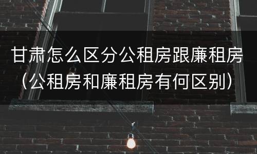 甘肃怎么区分公租房跟廉租房（公租房和廉租房有何区别）