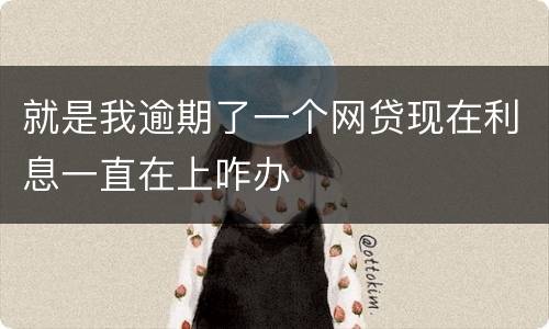 就是我逾期了一个网贷现在利息一直在上咋办