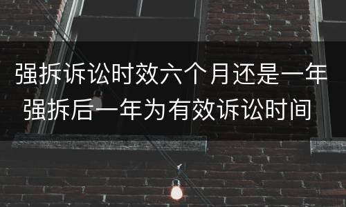 强拆诉讼时效六个月还是一年 强拆后一年为有效诉讼时间
