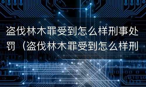 盗伐林木罪受到怎么样刑事处罚（盗伐林木罪受到怎么样刑事处罚怎么办）