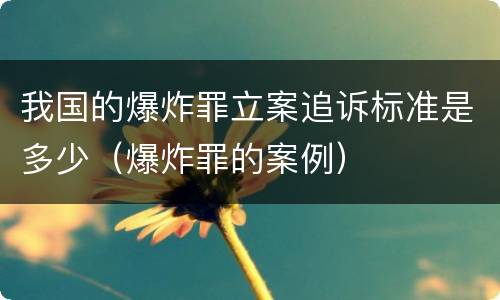 我国的爆炸罪立案追诉标准是多少（爆炸罪的案例）