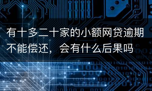有十多二十家的小额网贷逾期不能偿还，会有什么后果吗