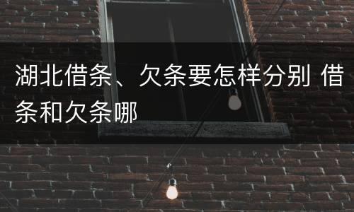 湖北借条、欠条要怎样分别 借条和欠条哪