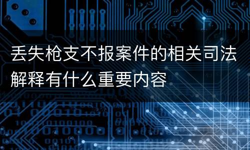 丢失枪支不报案件的相关司法解释有什么重要内容
