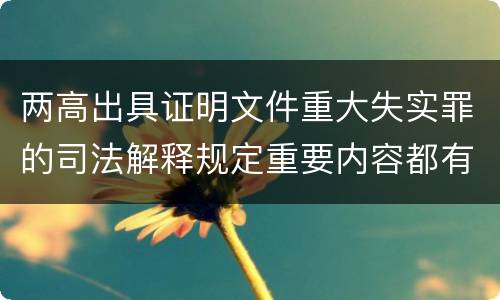 两高出具证明文件重大失实罪的司法解释规定重要内容都有哪些