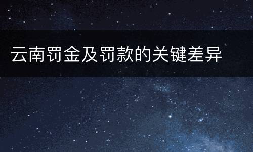 云南罚金及罚款的关键差异