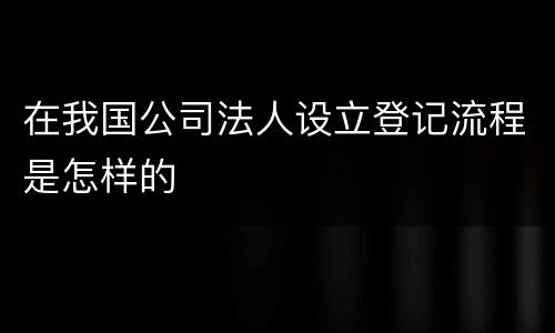 在我国公司法人设立登记流程是怎样的