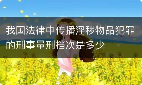我国法律中传播淫秽物品犯罪的刑事量刑档次是多少