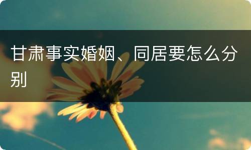 甘肃事实婚姻、同居要怎么分别