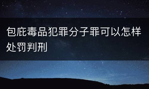 包庇毒品犯罪分子罪可以怎样处罚判刑