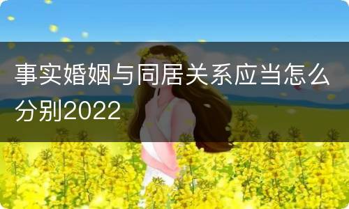 事实婚姻与同居关系应当怎么分别2022