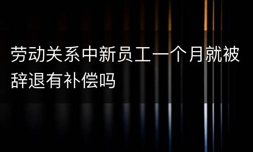 劳动关系中新员工一个月就被辞退有补偿吗