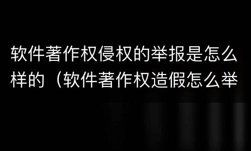 软件著作权侵权的举报是怎么样的（软件著作权造假怎么举报）