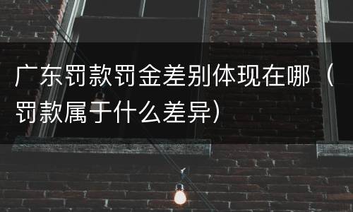 广东罚款罚金差别体现在哪（罚款属于什么差异）