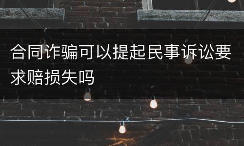 合同诈骗可以提起民事诉讼要求赔损失吗