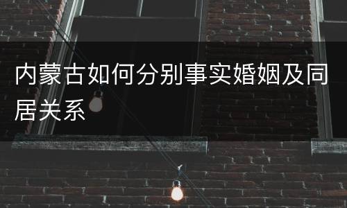内蒙古如何分别事实婚姻及同居关系