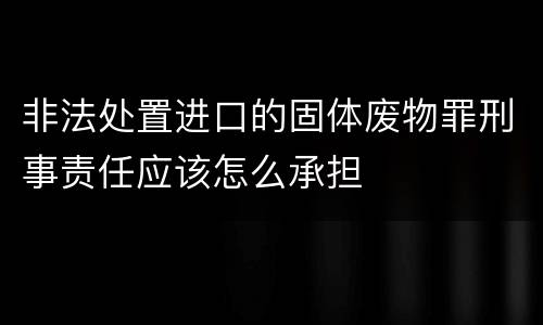 非法处置进口的固体废物罪刑事责任应该怎么承担