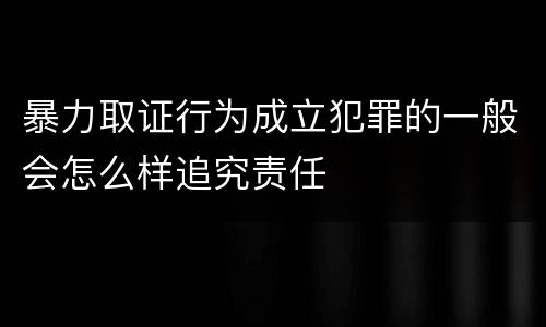 暴力取证行为成立犯罪的一般会怎么样追究责任