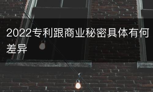 2022专利跟商业秘密具体有何差异