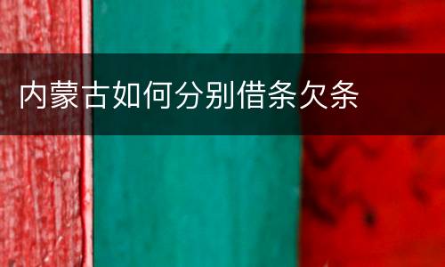 内蒙古如何分别借条欠条