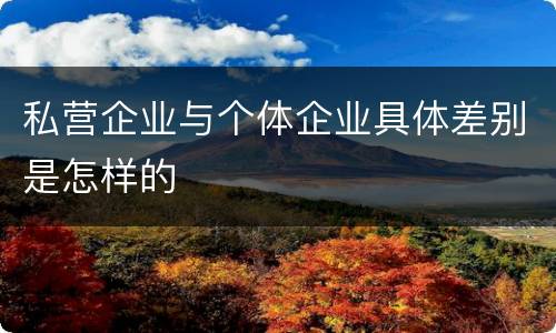 私营企业与个体企业具体差别是怎样的