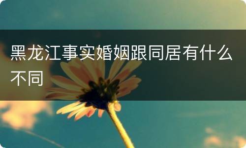 黑龙江事实婚姻跟同居有什么不同