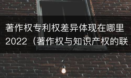 著作权专利权差异体现在哪里2022（著作权与知识产权的联系与区别）
