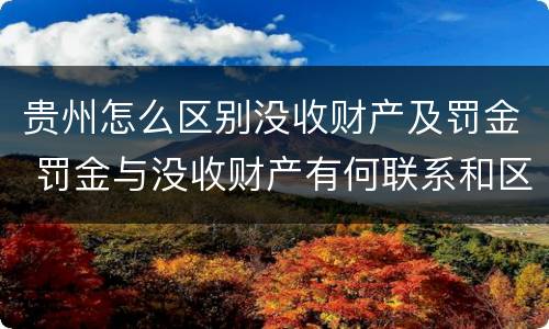 贵州怎么区别没收财产及罚金 罚金与没收财产有何联系和区别?