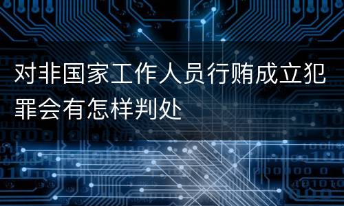 对非国家工作人员行贿成立犯罪会有怎样判处