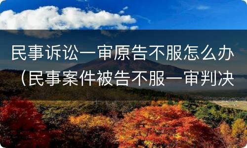 民事诉讼一审原告不服怎么办（民事案件被告不服一审判决怎么办）