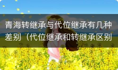 青海转继承与代位继承有几种差别（代位继承和转继承区别）