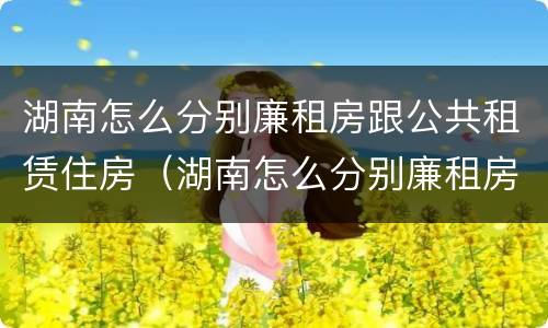 湖南怎么分别廉租房跟公共租赁住房（湖南怎么分别廉租房跟公共租赁住房呢）