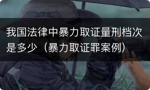 我国法律中暴力取证量刑档次是多少（暴力取证罪案例）