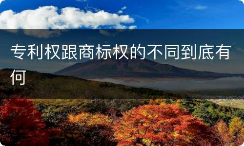 专利权跟商标权的不同到底有何