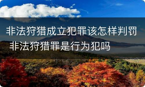 非法狩猎成立犯罪该怎样判罚 非法狩猎罪是行为犯吗