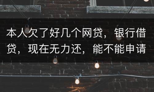 本人欠了好几个网贷，银行借贷，现在无力还，能不能申请破产