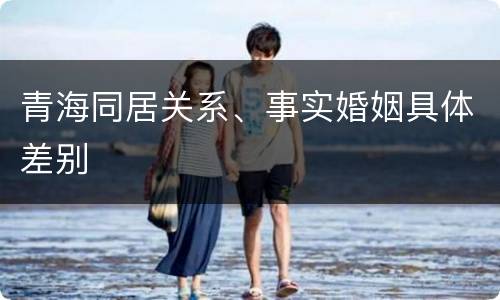 青海同居关系、事实婚姻具体差别
