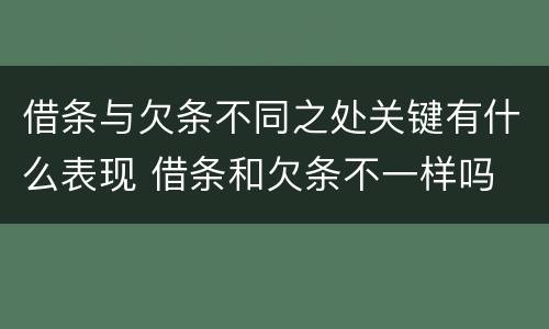 借条与欠条不同之处关键有什么表现 借条和欠条不一样吗