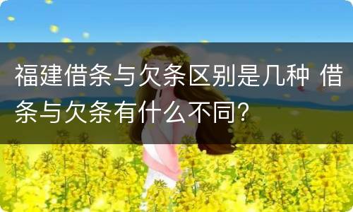 福建借条与欠条区别是几种 借条与欠条有什么不同?