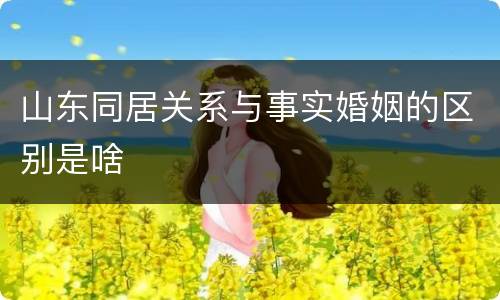 山东同居关系与事实婚姻的区别是啥
