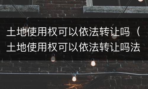土地使用权可以依法转让吗（土地使用权可以依法转让吗法律规定）