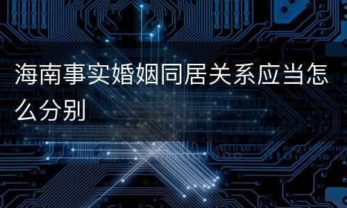海南事实婚姻同居关系应当怎么分别