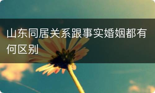山东同居关系跟事实婚姻都有何区别